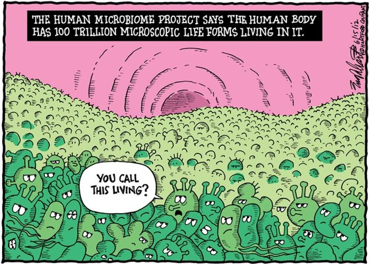 Human Bacteria Human Bacteria