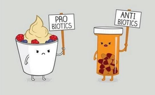 Friendly Bacteria Friendly Bacteria